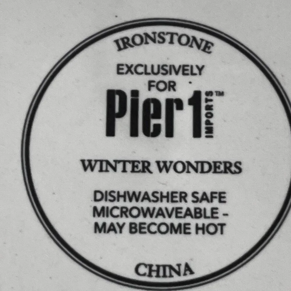 Set of 4 Pier 1 Winter Wonders Ironstone 9